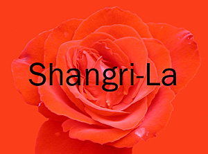 Shangri-La, 1111 Alberni, BC